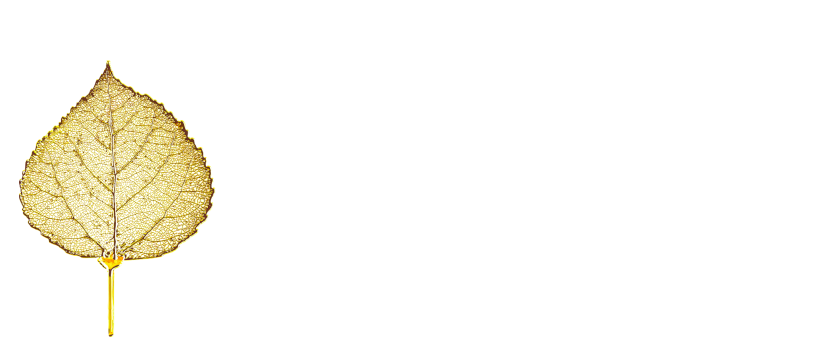 Great Western Lodging