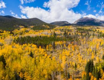 Breckenridge fall colors and view from hike.