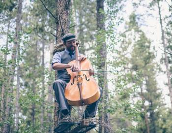International Arts Festival promo pic, of strings player in a tree stand in the woods.