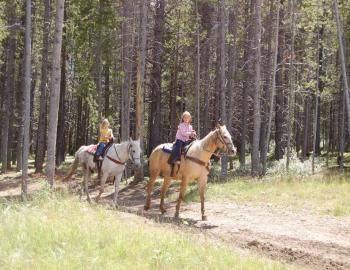 Horseback Riding in Breckenridge